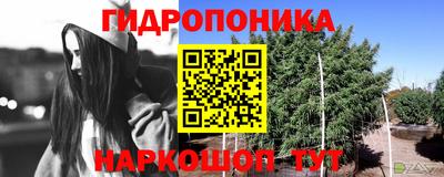 COCAINE Северобайкальск