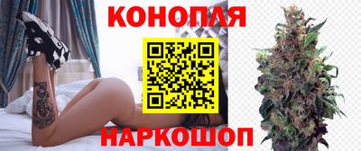 Альфа ПВП Славянск-на-Кубани
