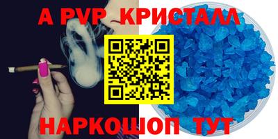 спиды Сланцы