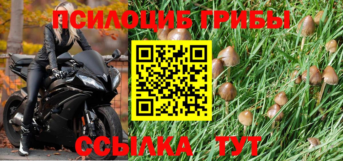 Набережные Челны  продажа наркотиков  Вход с VPN  Псилоцибиновые грибы Cubensis 