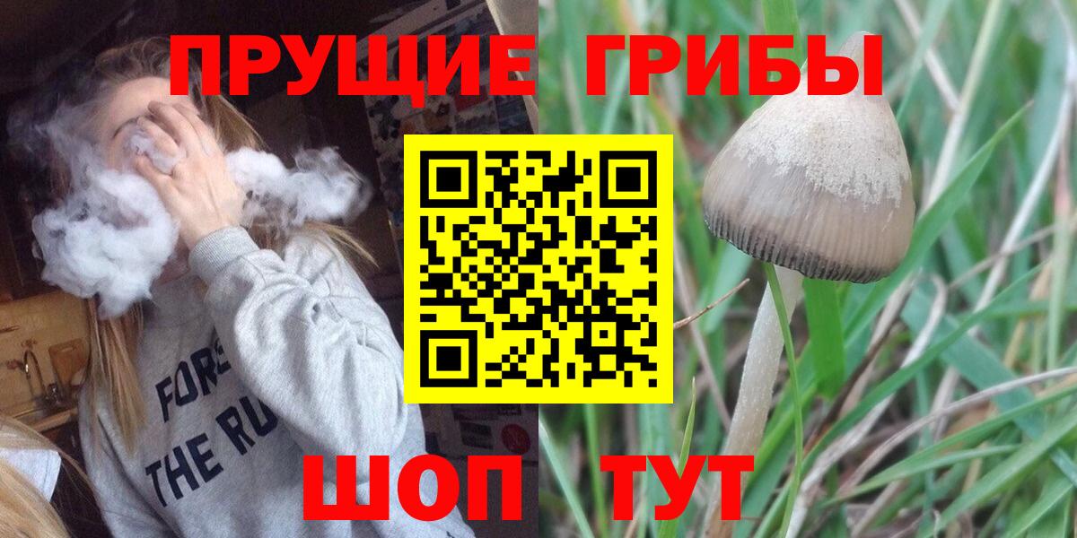 Псилоцибиновые грибы Magic Shrooms Набережные Челны